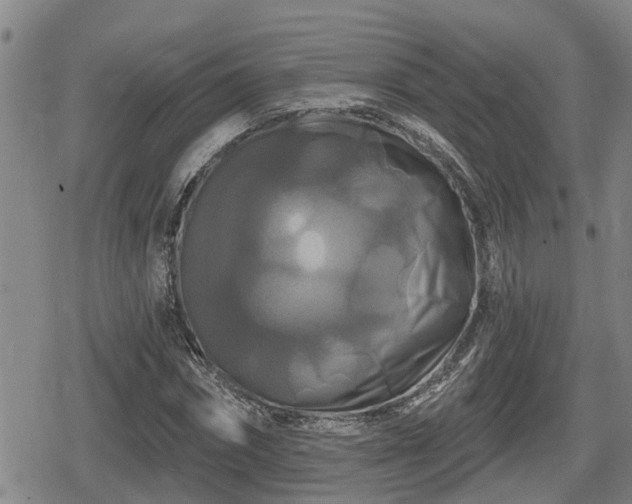 X0000080690874200612221050