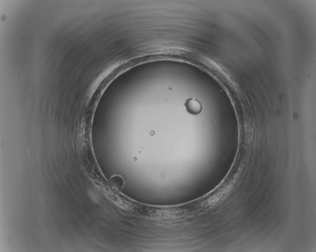 X0000080690875200612221050