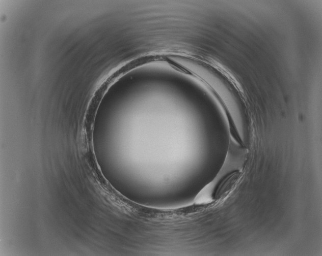 X0000080690876200612221050