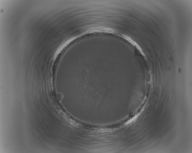 X0000080690877200612221050