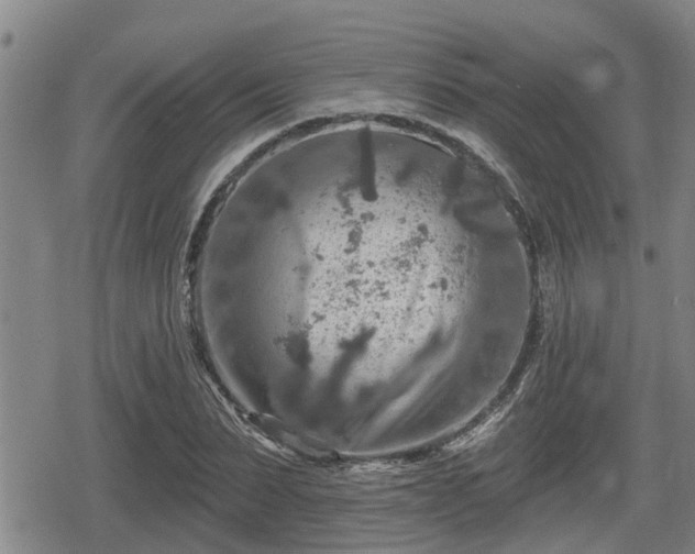 X0000080690879200612221050