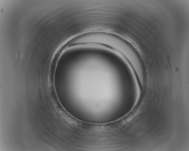 X0000080690880200612221050