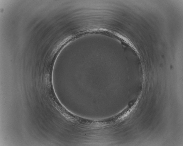 X0000080690881200612221050