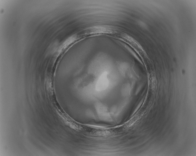 X0000080690882200612221050