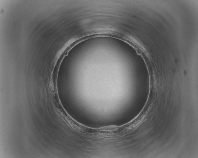 X0000080690883200612221050