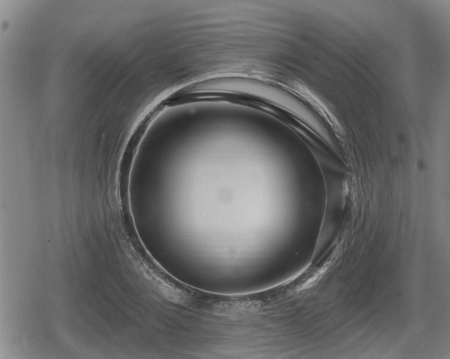 X0000080690884200612221050