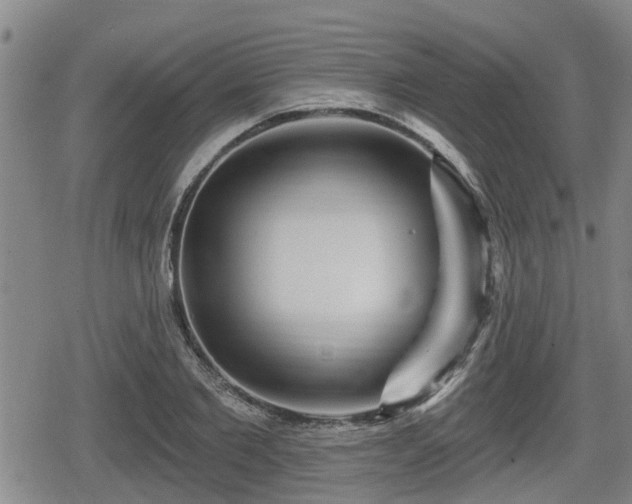 X0000080690885200612221050