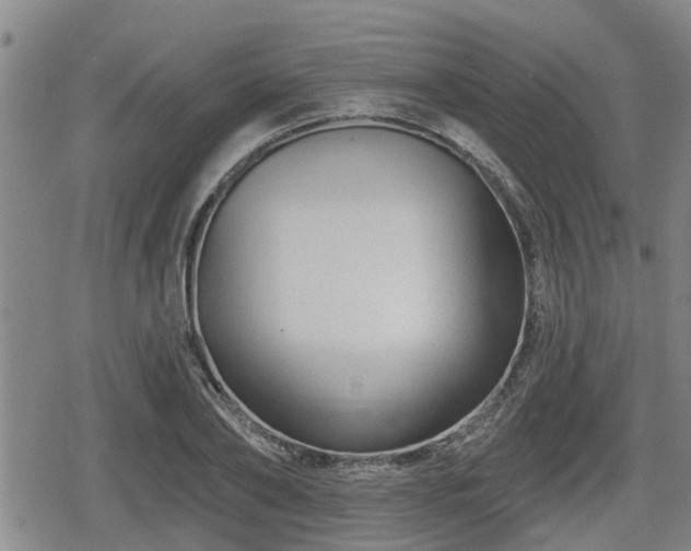 X0000080690886200612221050