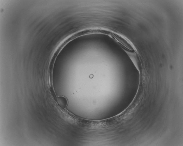 X0000080690887200612221050