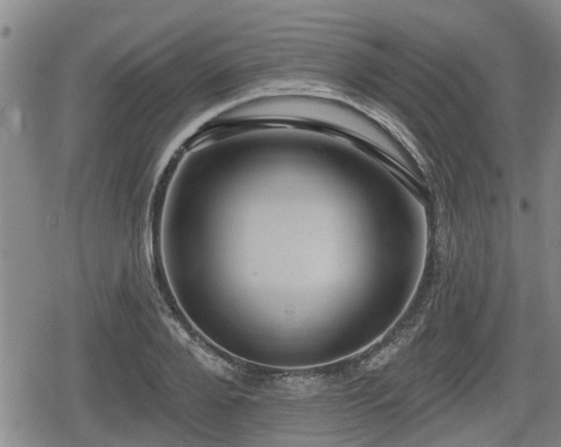 X0000080690888200612221050