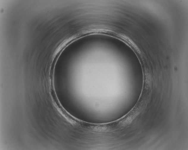 X0000080690890200612221050