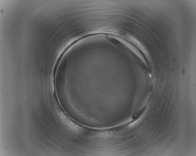 X0000080690892200612221050