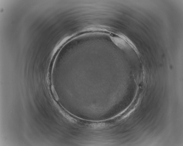 X0000080690893200612221050