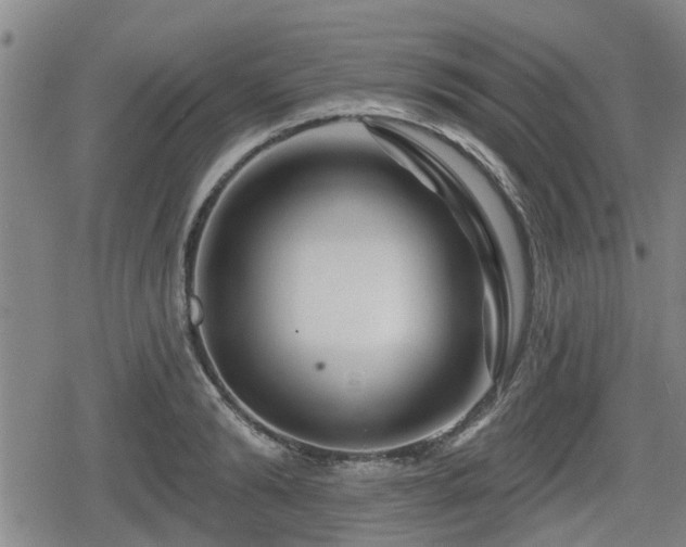 X0000080690894200612221050