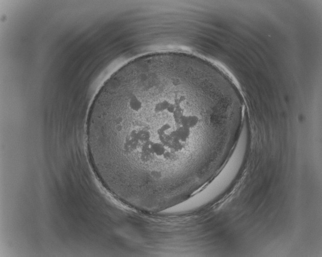 X0000080690895200612221050