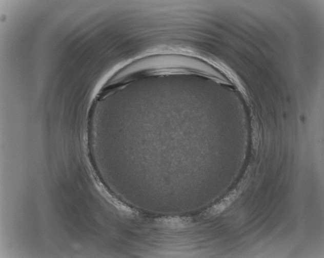 X0000080690896200612221050