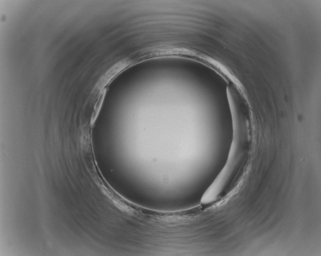 X0000080690897200612221050