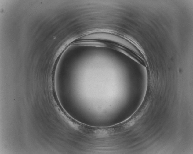 X0000080690898200612221050