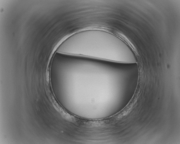 X0000080690900200612221050