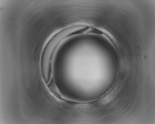 X0000080690902200612221049