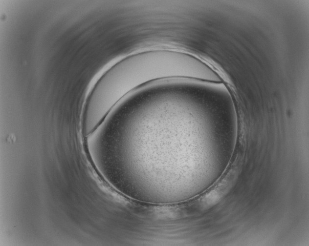 X0000080690904200612221049