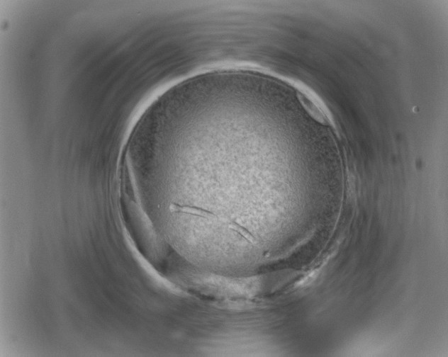 X0000080690911200612221049