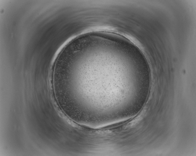 X0000080690912200612221049