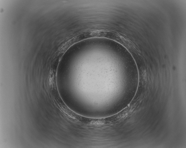 X0000080690914200612221049