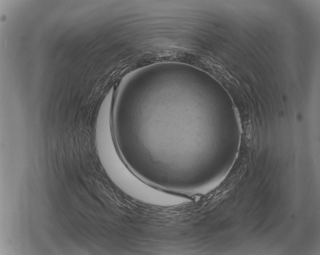 X0000080690916200612221049