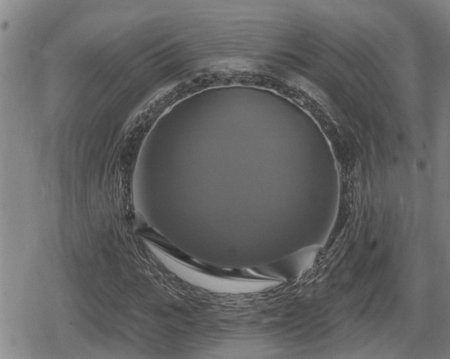 X0000080690919200612221049