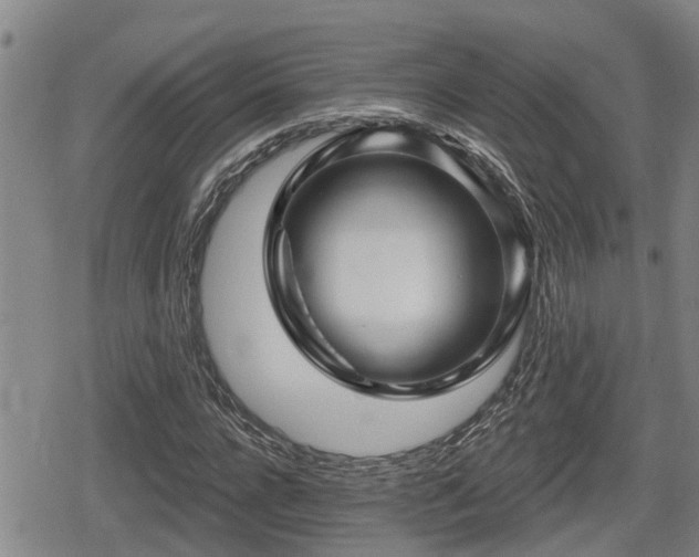 X0000080690920200612221049