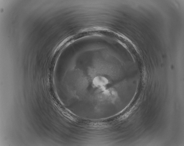 X0000080690921200612221049