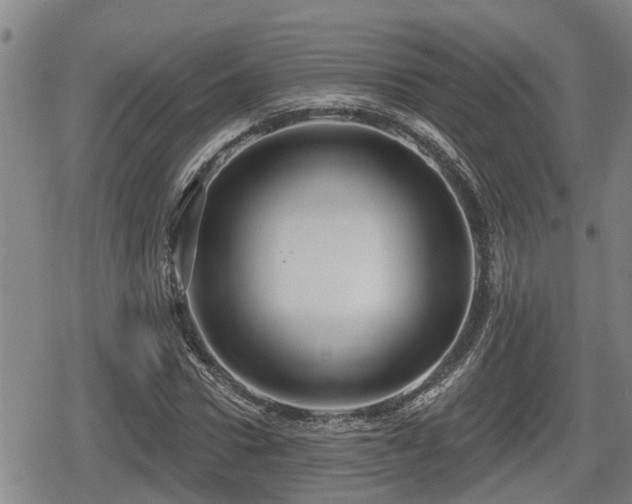 X0000080690922200612221049