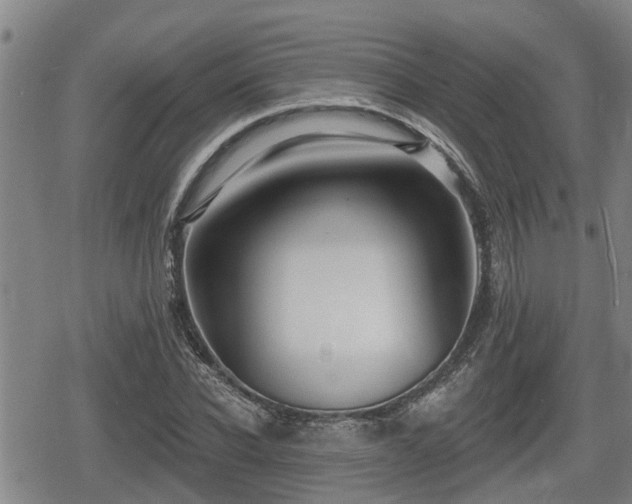 X0000080690926200612221049