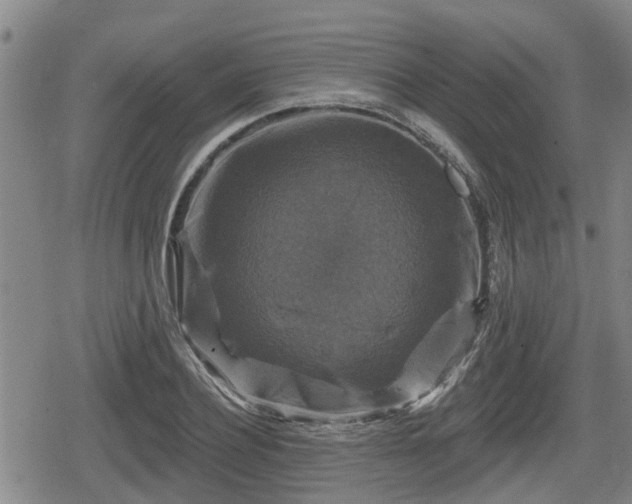 X0000080690932200612221049