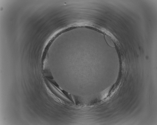 X0000080690934200612221049