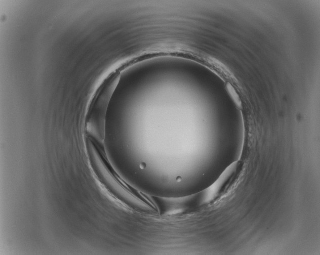 X0000080690942200612221049