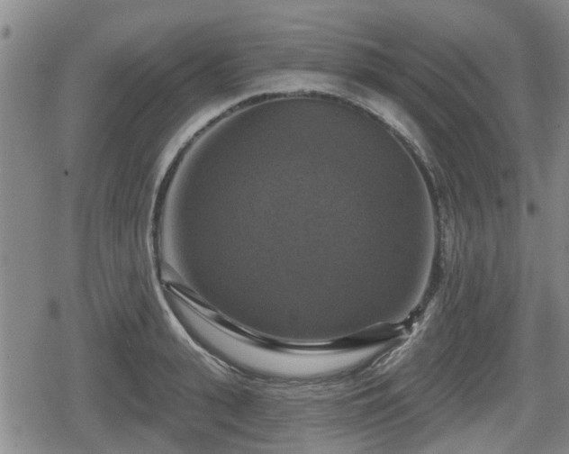 X0000080690943200612221049