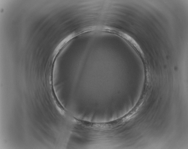 X0000080690954200612221049