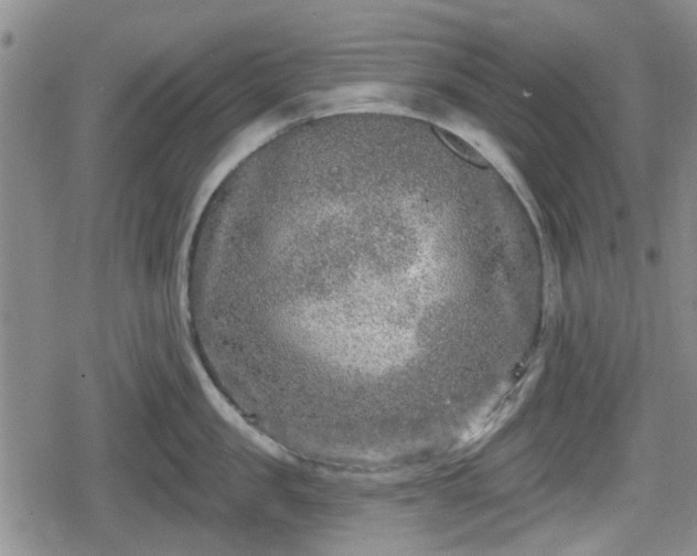 X0000080690957200612221049