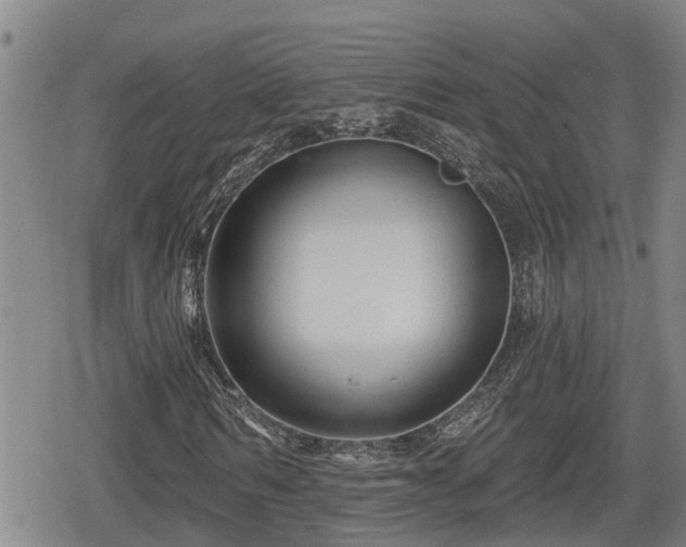 X0000080690962200612221049