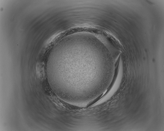 X0000080690968200612221048