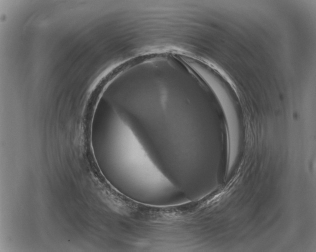 X0000080690975200612221048