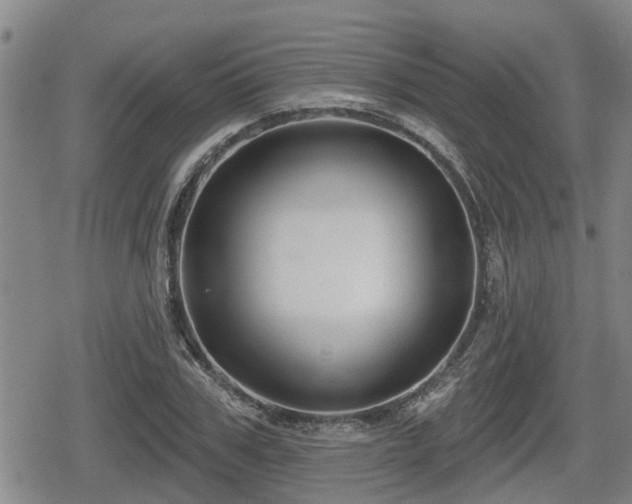 X0000080690979200612221048