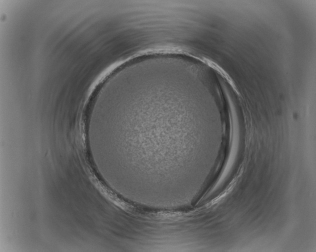 X0000080690981200612221048