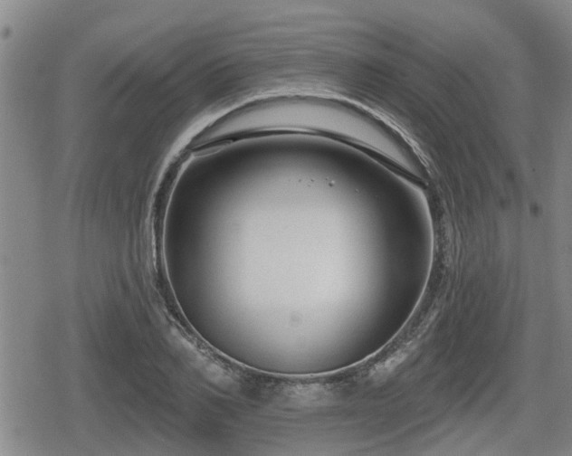 X0000080690982200612221048