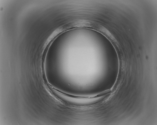 X0000080690986200612221048