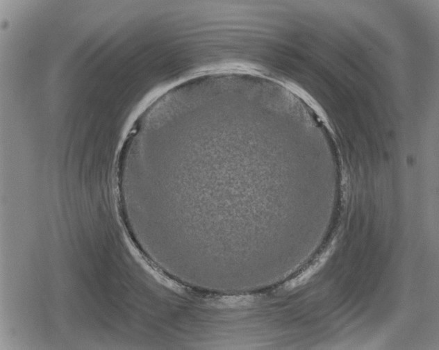 X0000080690989200612221048