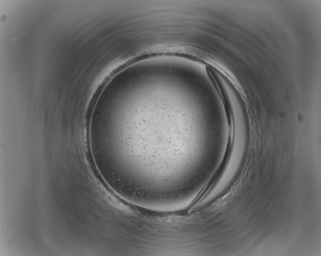 X0000080690992200612221048