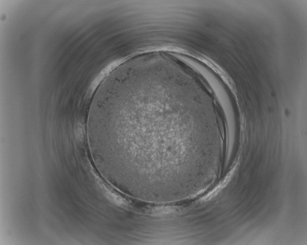 X0000080690993200612221048